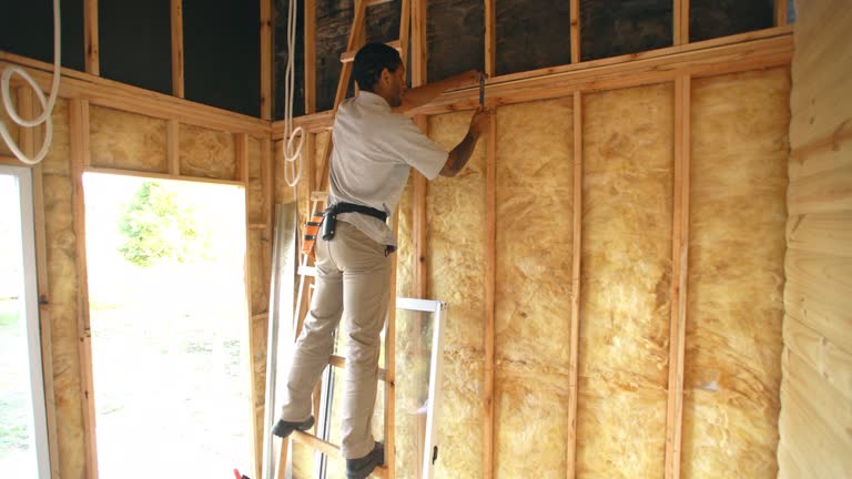 Professional Insulation in Bunkie, LA