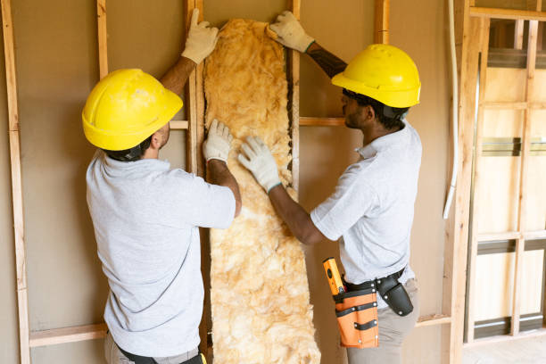 Insulation Air Sealing in Bunkie, LA