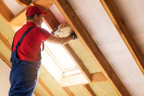 Types of Insulation We Offer in Bunkie, LA